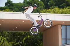 全力以赴做好十五运会相关做